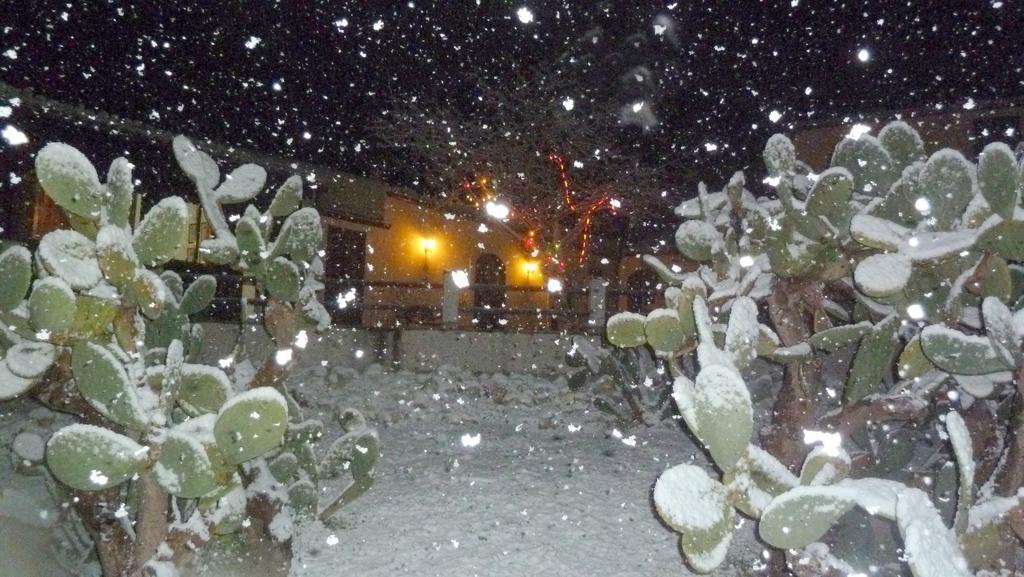 فيلا نوتوفي Agriturismo Timpa Del Sole المظهر الخارجي الصورة
