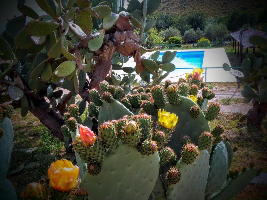 فيلا نوتوفي Agriturismo Timpa Del Sole المظهر الخارجي الصورة