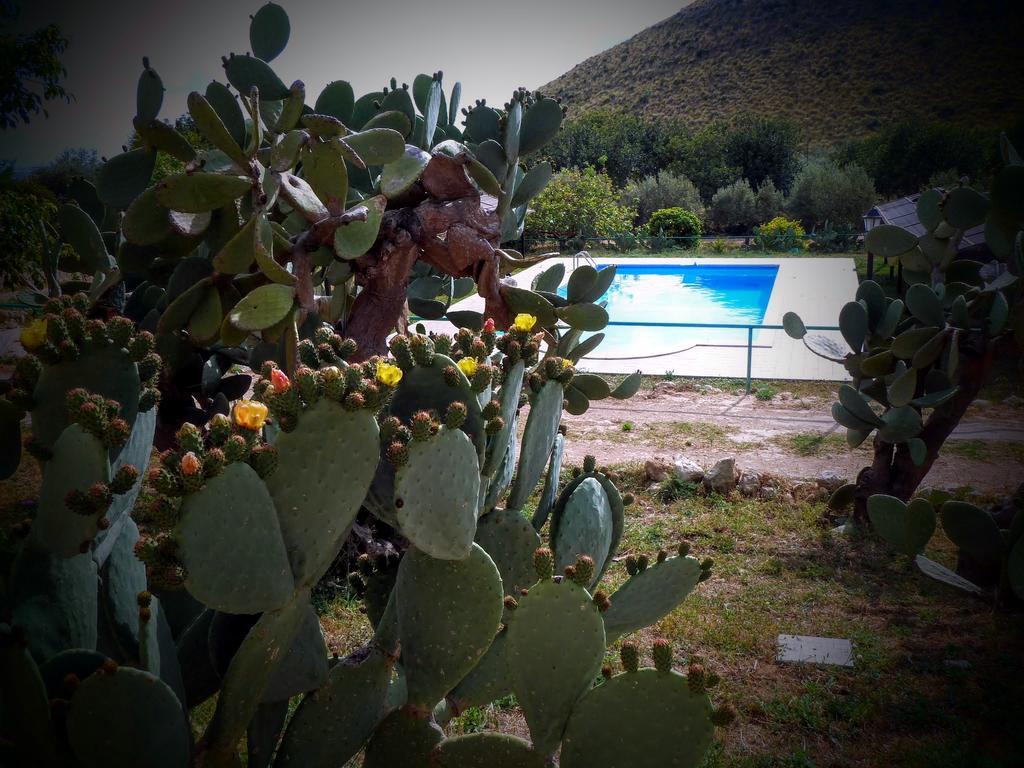 فيلا نوتوفي Agriturismo Timpa Del Sole المظهر الخارجي الصورة