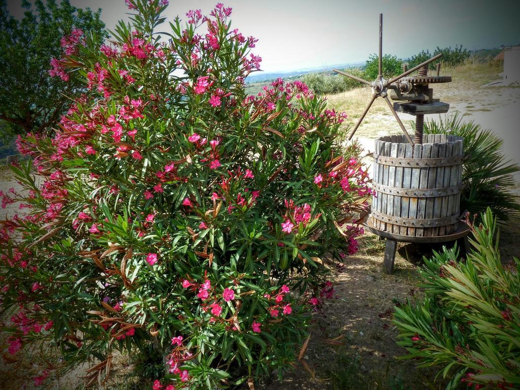 فيلا نوتوفي Agriturismo Timpa Del Sole المظهر الخارجي الصورة